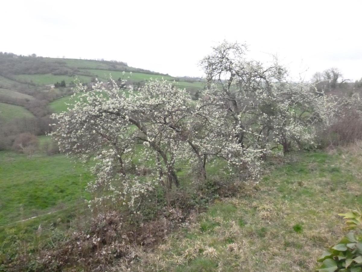 Montembœuf La Maison Des Fleurs מראה חיצוני תמונה
