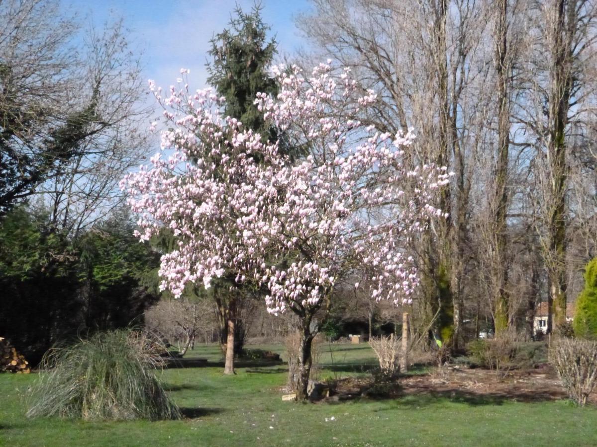 Montembœuf La Maison Des Fleurs מראה חיצוני תמונה